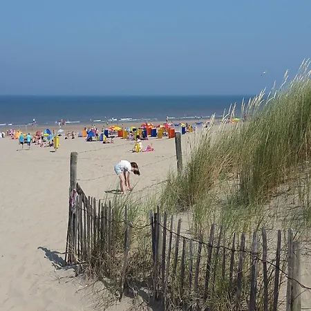 In By * Noordwijkerhout