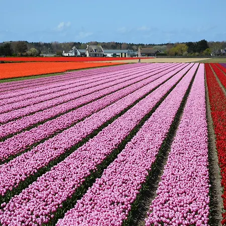 In By Дом отдыха